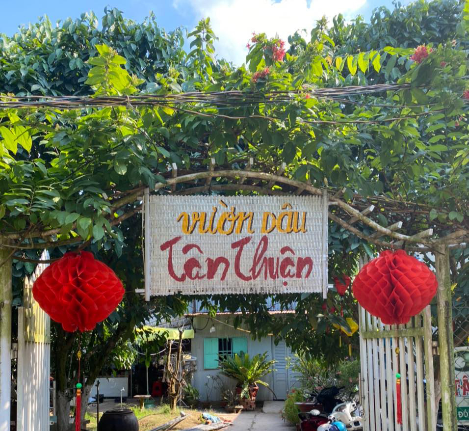 Vườn dâu Tân Thuận